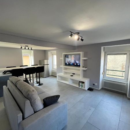 Appartement Familiale Premium : Proche Gare De Belfort Luaran gambar